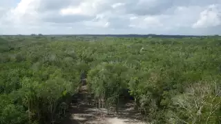 Alex, el niño desaparecido en Yucatán y un misterio sin resolver; salió al monte hace 20 años y nunca regresó   