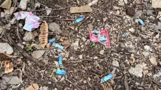 Contaminación y malas prácticas ponen  en riesgo  el Biocorredor del Poniente de Mérida