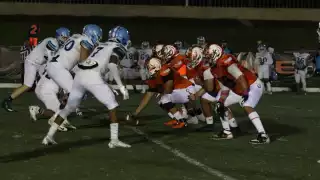 Los Leones se enfrentarán a los Halcones de la Universidad de Veracruz