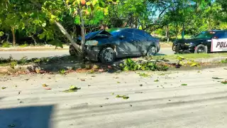 Un Avenger quedó incrustado contra un árbol en el camellón central de la avenida Erick Paolo Martínez, en la colonia Lagunitas; el conductor se fue del lugar.