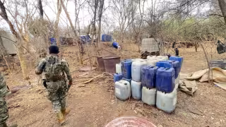 Elementos de la Secretaría de Marina localizaron un mega laboratorio de drogas, el más grande asegurado durante la presente administración