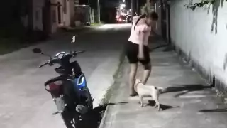 En Sabancuy existen muchos animalitos que son desatendidos por sus dueños