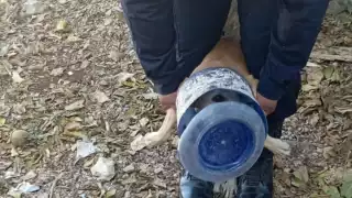 Se visten de héroes: policías de Tizimín rescatan a perro con botellón atorado en la cabeza