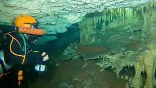 La exploración se realizó en una cueva recién descubierta
