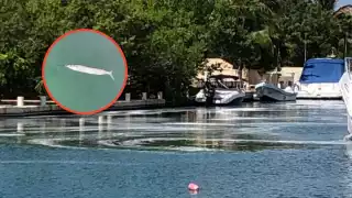 El mantenimiento se dio de manera irresponsable