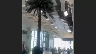 Este sábado se reportó la caída de plafones en el área internacional del AIFA