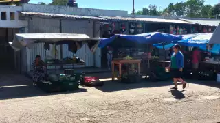 Actualmente, se tiene un buen precio en cítricos excepto por el limón, que comenzó a tomar cierto valor