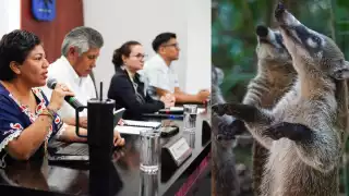 El animal será un símbolo visible de identidad