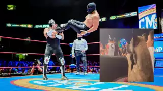 La lucha libre es uno de los deportes más populares en México