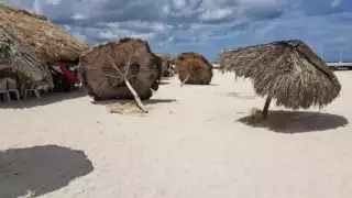 Los pobladores derribaron varias palapas en la costa de Sisal