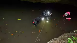 Centro de Investigación Científica de Yucatán realizó la investigación