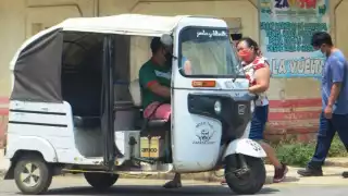 Piden a las autoridades castigar a quienes los hostigan.