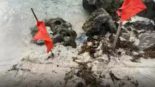 La presunta droga fue hallada en la arena