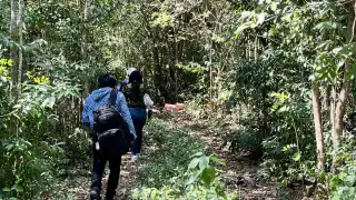 Los restos fueron hallados cerca del ejido Alfredo de Bonfil