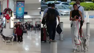 Aeropuerto Internacional de Cancún se convierte en un lugar 'pet friendly'
