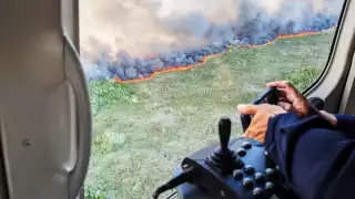 Hasta el momento se ha vertido un total de 12,500 litros de agua; acciones que continuarán hasta su total extinción. 