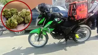 Transportaba dos bolsas con hierba seca, presunta marihuana