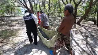 El suceso ocurrió cerca de las 13:00 horas, al final de la avenida Paseo del Mar