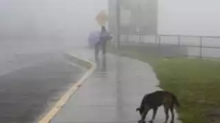 La Tormenta Tropical Pilar que afecta a El Salvador, ha dejado un saldo preliminar de 3 personas fallecidas
