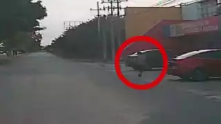 Continúa operativo de búsqueda para localizar a mujer de la tercera edad reportada como extraviada en Mérida