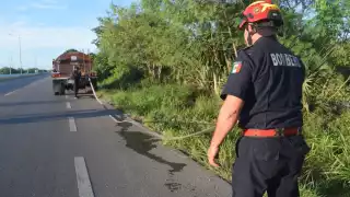 Es el séptimo incendio que se reporta en la zona en la segunda mitad del año