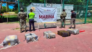 Golpe al narcotráfico en Manzanillo: aseguran 270 kilos de cocaína ocultos en un contenedor