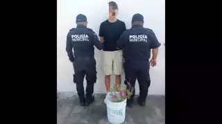 El punto de partida fue la zona centro a fin de plantar cerca de 100 especies