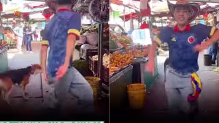 Joven se hace viral al ser mordido cuando bailaba un tema de Shakira: VIDEO