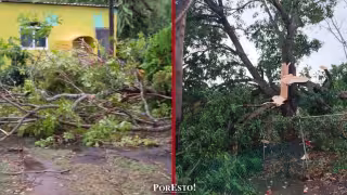 Fuertes lluvias dejan viviendas sin techo y árboles caídos en San Antonio Bobola