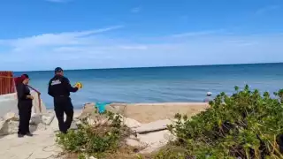 Se señaló a quien resultó responsable de la construcción que estaba obligado a demoler la barda y dejar libre el espacio