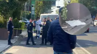 El feto fue hallado al pie de una jardinera