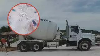 No se tiene registro de cuantos huevos se perdieron