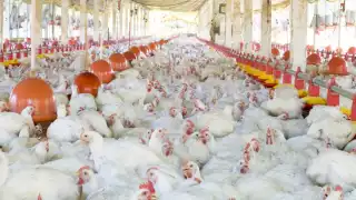 La sentencia se dictó el jueves 9 de noviembre de 2023