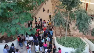 Señaló que estos programas empezarán a partir de finales de julio