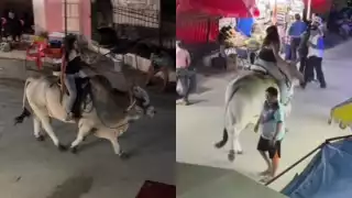 Mujer montando un cebú en Acanceh se viraliza en redes sociales: "Eso sí es tener bien puestos los pantalones"