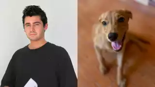   Acusan a influencer yucateco de “adoptar” animales para conseguir likes y seguidores   
