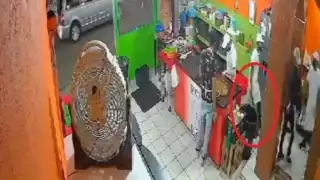 El agresor no ha sido detenido tras el ataque