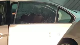 Vecinos vieron que el ladrón corría a esconderse para no ser detenido