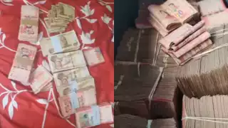 El joven fue detenido gracias a sus videos en Tiktok. Foto: Especial