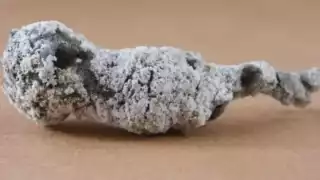 Rayo cae sobre un árbol y crea un material nunca antes visto en la Tierra