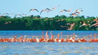 La playa más bonita para visitar este 2024 se encuentra a una hora y media de la capital yucateca