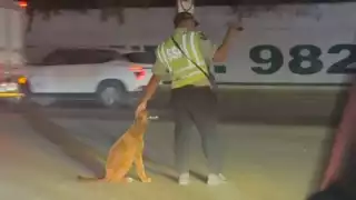 Fe en la humanidad restaurada: captan a policía acariciando a un “lomito” en Mérida