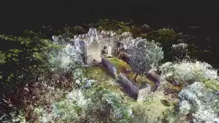 El edificio no ha recibido cuidados en más de 20 años y podría colapsar