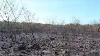 Los incendios en Bacalar presentan un 80% de control