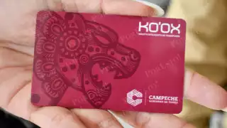 Denuncian reventa de tarjetas de transporte en Campeche