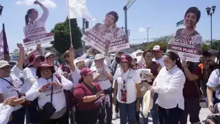 Mena Zapata declinó decir el nombre de la candidatura, que por ley debe ser reservado