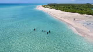     La playa con agua cristalina en Yucatán que pocos conocen: Así se puede llegar      