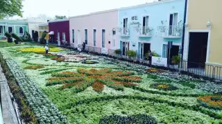 El paseo de las flores se une a otras actividades navideñas de Mérida
