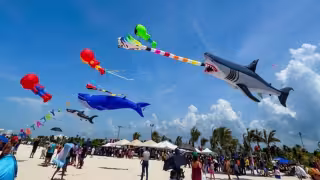 Festival de Papagayos y Cometas 2026 en Progreso: fechas, actividades y entrada gratuita