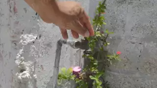 Fuga de agua en la capital de Campeche deja a 27 zonas de la ciudad con baja presión